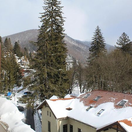 Central Park View Sinaia Exterior photo
